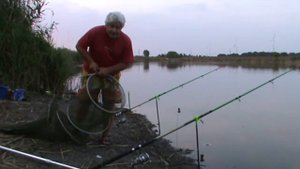 Сазан в конце августа .