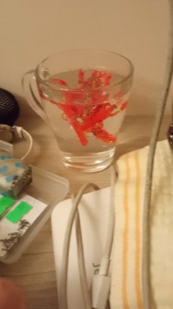 Варёные раки для РЫБАЛКИ😜