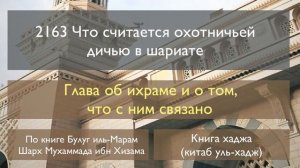 2163 Что считается охотничьей дичью в шариате.