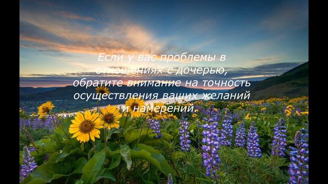 Эвелина Абраменко. Ответы на вопросы. Плохие отношения с дочерью смотреть онлайн