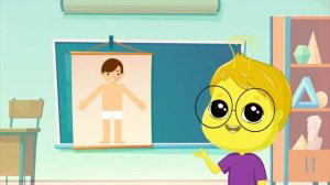 что такое БЕЛКИ?!  полезный мультик для детей