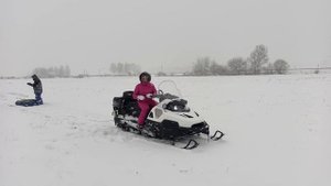 снегоход стелс викинг 800