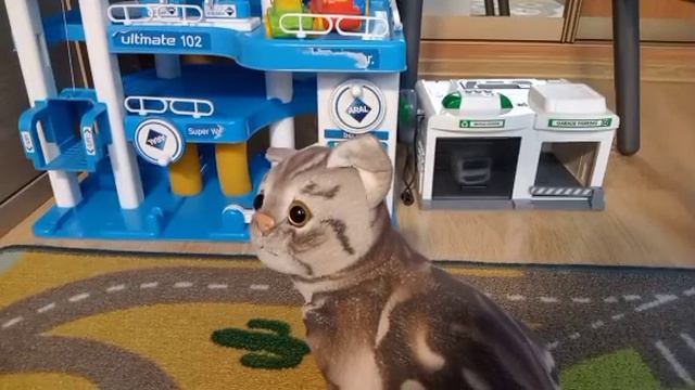 Зверята Семёна нашли себе НОВОГО ДРУГА! Он оказался очень весёлым!