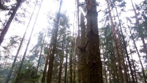 Сигнальный пистолет STALKER-906 стрелковый тест (свинцовые пули и пули дротики)