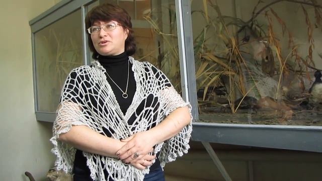 Экскурсия по музею заповедника Белогорье часть-4 смотреть онлайн