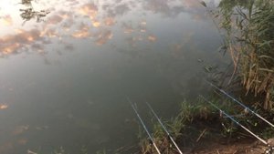 Рыбалка в Крыму. 11.08.2020 пгт Гвардейское на платнике.