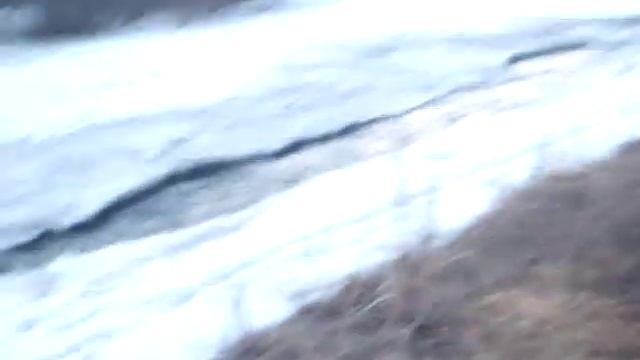 Срубили деревья Красноярск №160 смотреть онлайн