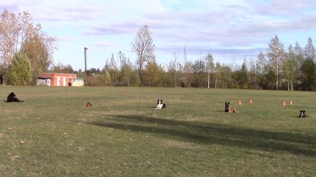 выдержка 1 группы сдача ОБД 1 04.10.15 смотреть онлайн