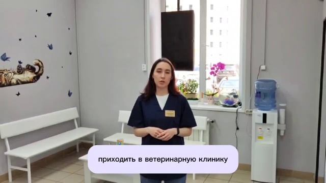 Кастрация и стерилизация животных в ветеринарной клинике Добрый Доктор