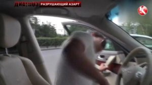 Адель Сулейманов на Телевидении  Самый крупный канал Казахстана  Прогнозы на спорт