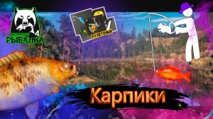 РР4/ рыбалка для души, ловим как универсал, общаемся 29.01.23