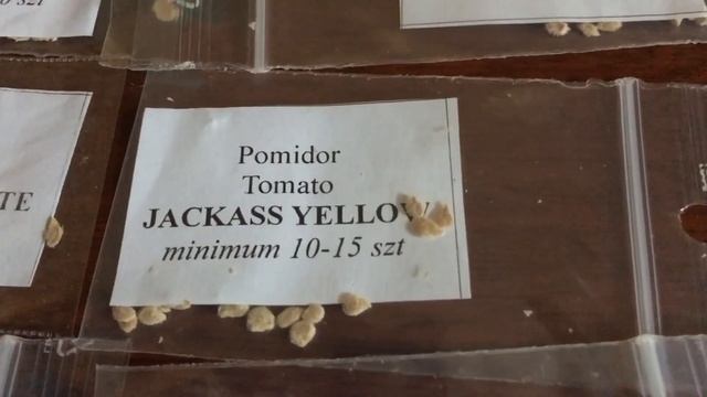 Томаты 2022 с туманного Альбиона ч.2 | необычные сорта и гибриды смотреть онлайн