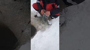 #Рыбалка на сетку.