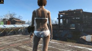 Fallout 4 (мод): " Ретекстур Нижнего Белья"