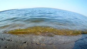 Рыбалка на Артёмовском заливе, Печенеги, Мартовая!