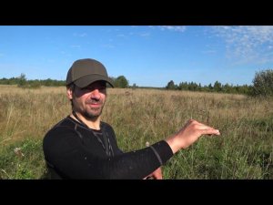 Охота с Поинтером, начало пути.