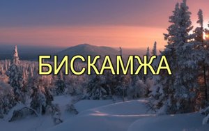 БИСКАМЖА.WMV