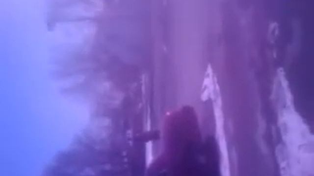 starting saws смотреть онлайн