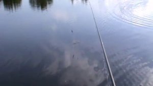 ловля карася июнь Тверь черта города,обзор китайской удочки