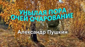 Стихотворение Пушкин А.С.  "Унылая пора, очей очарование"