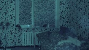 Зубная ФЕЯ ПОДАРИЛА 100.000 Рублей ЗА МОИ ЗУБЫ ! ЛИШИЛСЯ ЗУБОВ ! Потусторонние