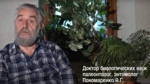 Об эволюции и разнообразии насекомых