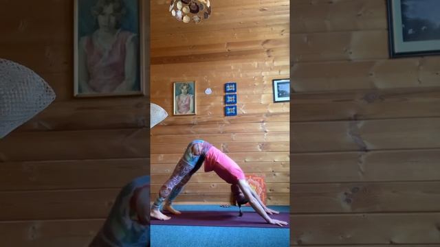 Хатха-йога легкий уровень с усложнениями смотреть онлайн