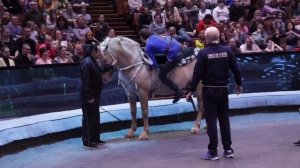ОТКРЫТАЯ РЕПЕТИЦИЯ Большой Московский цирк на проспекте Вернадского