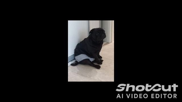 Как менялась Долли(2 часть)