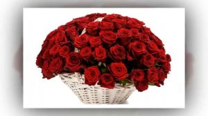 красные розы 2017 года