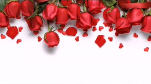 Роза СИ интересно смотреть смотреть онлайн