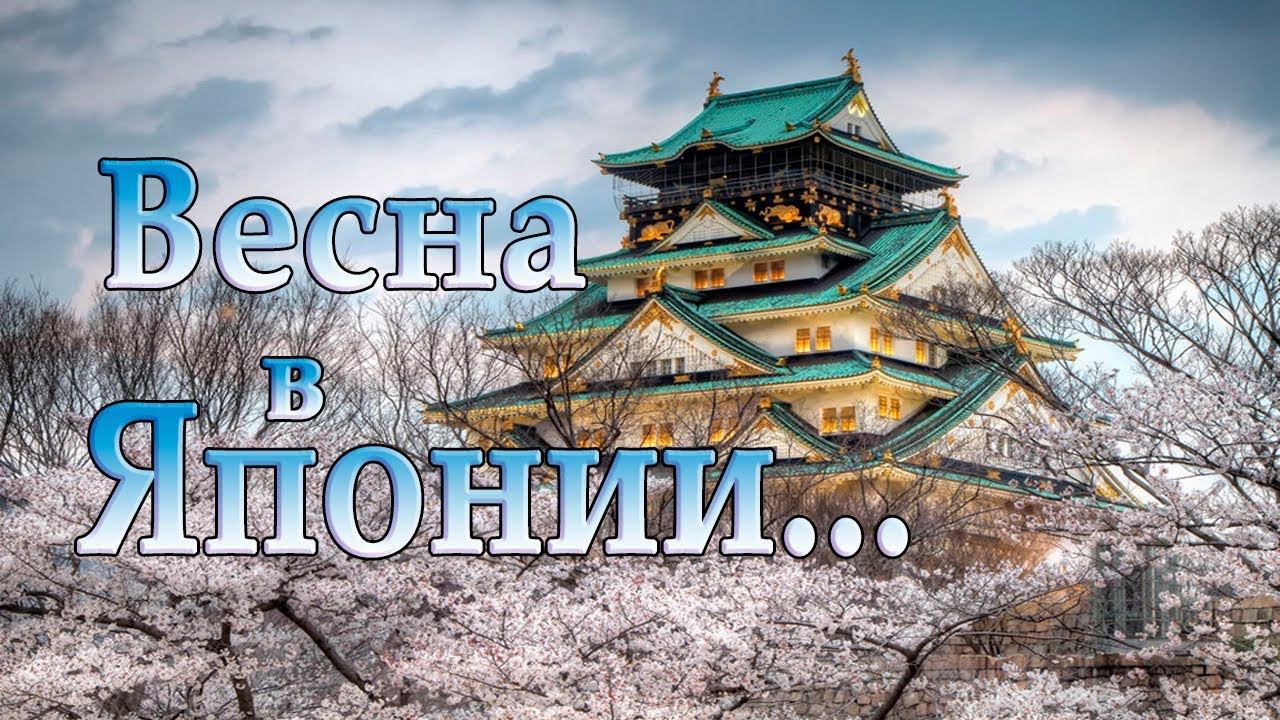 Весна в Японии*