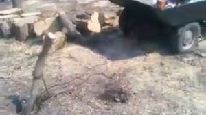 "Трицикл і перевозка дров"