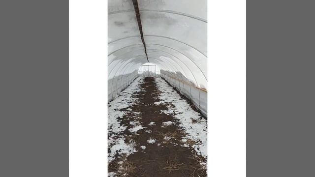 Теплица балаган своими руками , теплица из профильной трубы , теплица бюджетная своими руками