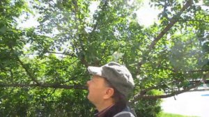 Дом обороны, просто прогулка.