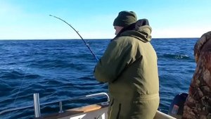 Морская рыбалка в Териберке . ( Открытие сезона )