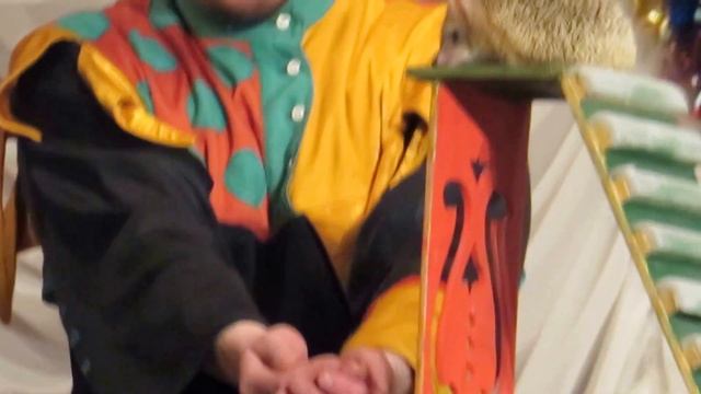 Дрессированный (!) Ёж! Фрагмент 2 - Новогодняя елка в стенах родной компании смотреть онлайн