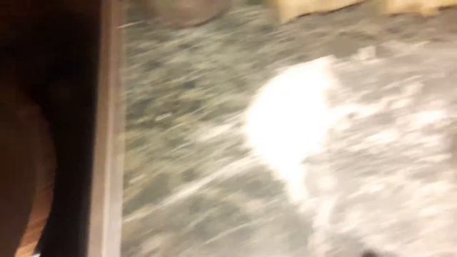 ШАУРМА ОЧЕНЬ ВКУСНАЯ смотреть онлайн