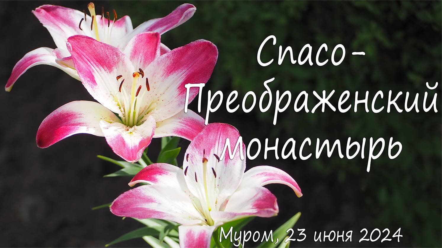 Спасо-Преображенский монастырь, Муром, 23 июня 2024
