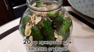 СОЛЕНЫЕ ОГУРЦЫ! Холодный способ засолки огурцов без сахара и уксуса
