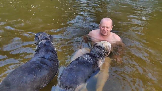 На улице жара, ходим на речку купаться. Цыплят переместили в домик, уже осваиваются.
