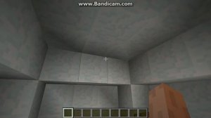 сид на иглу в майкрафт  1.11