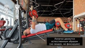 Жим гантелей на скамье с отрицательным углом наклона