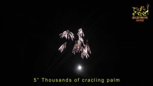 5" Thousands of cracling palm