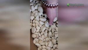 Очистка чеснока - Vega Garlic Peeler Н200