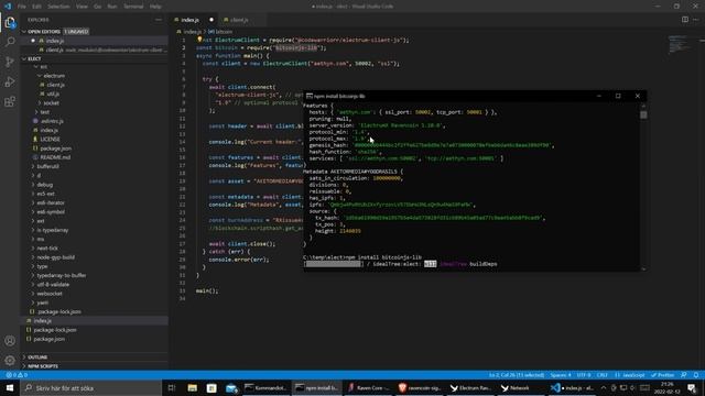Ravencoin + Electrum  + Node.js. Blockchain programming made easy!
