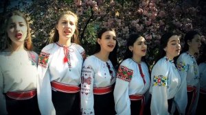 Гамерицький край