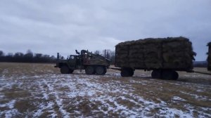 Как возим сено
