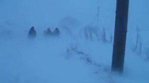 Устраняем обрыв ЛЭП 6кВ Салехард