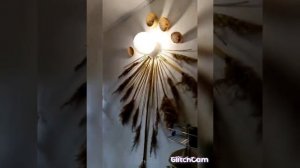 Декор из камыша своими руками. Панно из камыша. Эко дизайн.